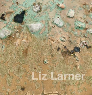 Carte Liz Larner Liz Larner