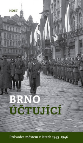 Kniha Brno účtující Alexandr Brummer