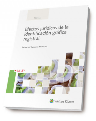 Könyv EFECTOS JURIDICOS DE LA IDENTIFICACION GRAFICA REGISTRAL 