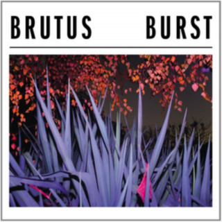 Audio Burst Brutus