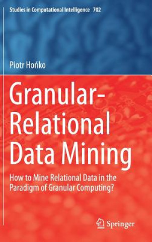 Kniha Granular-Relational Data Mining Piotr Honko