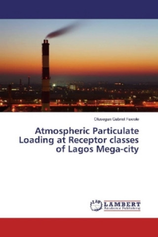 Kniha Atmospheric Particulate Loading at Receptor classes of Lagos Mega-city Olusegun Gabriel Fawole