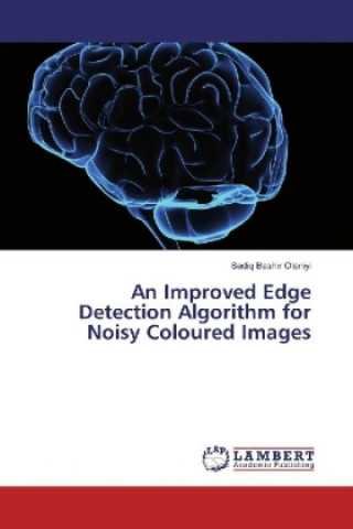 Książka An Improved Edge Detection Algorithm for Noisy Coloured Images Sadiq Bashir Olaniyi