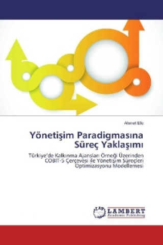 Carte Yönetisim Paradigmas na Süreç Yaklas m Ahmet Efe