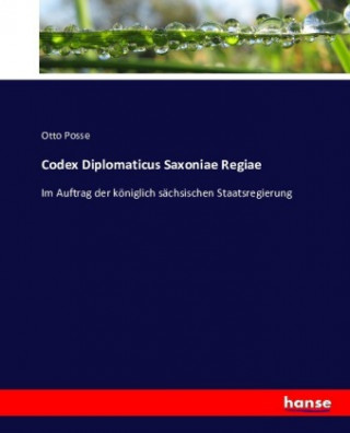 Książka Codex Diplomaticus Saxoniae Regiae Otto Posse