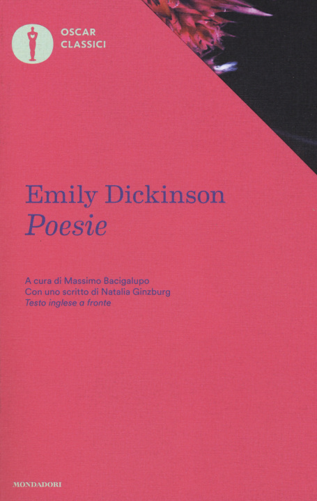 Könyv Poesie Emily Dickinson