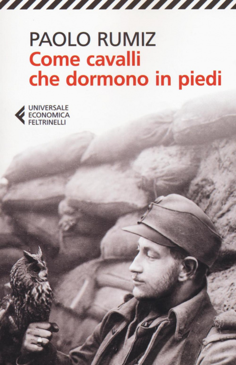 Buch Come cavalli che dormono in piedi Paolo Rumiz