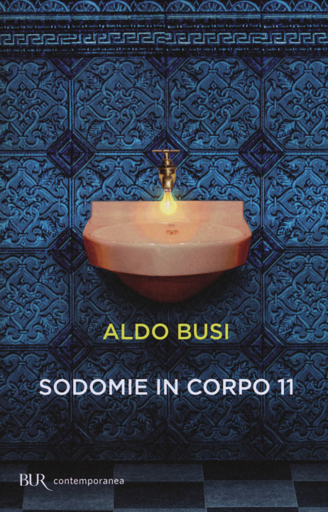 Kniha Sodomie in corpo 11 Aldo Busi
