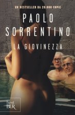 Könyv La giovinezza Paolo Sorrentino