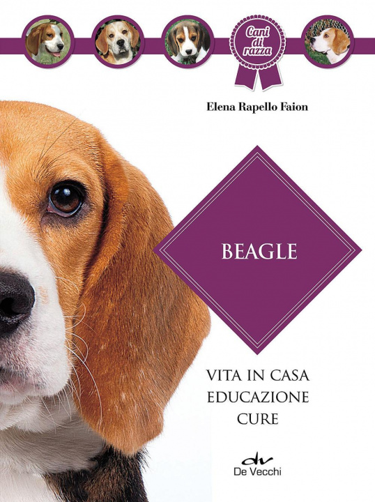 Książka Beagle Elena Rapello Faion