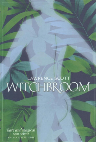Kniha Witchbroom Lawrence Scott