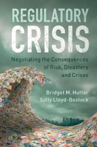 Kniha Regulatory Crisis Bridget Hutter