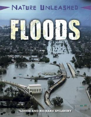 Book Nature Unleashed: Floods Louise Spilsbury