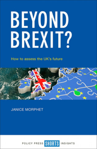 Boek Beyond Brexit? Janice Morphet