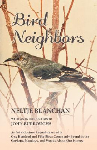 Knjiga Bird Neighbors NELTJE BLANCHAN