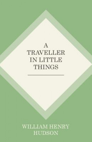 Book Traveller in Little Things WILLIAM HENR HUDSON