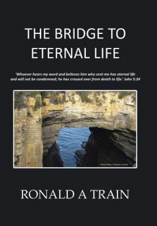 Kniha Bridge to Eternal Life RONALD A TRAIN