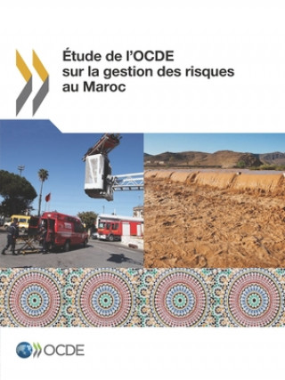 Knjiga Etude de l'OCDE sur la gestion des risques au Maroc OECD