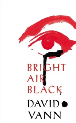Könyv Bright Air Black David Vann