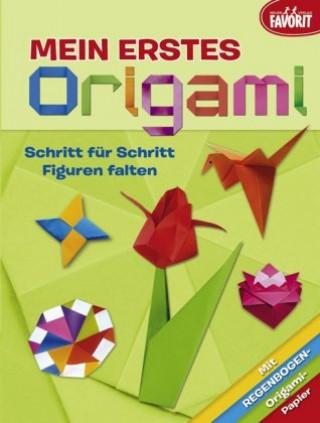 Könyv Mein erstes Origami 