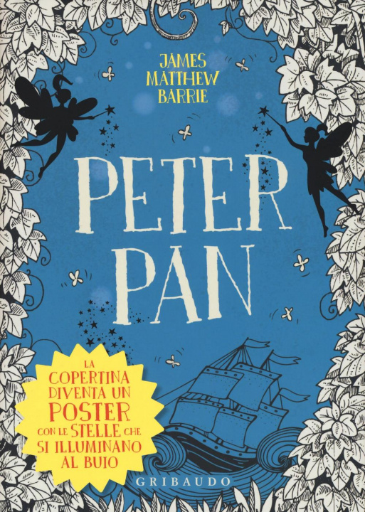 Livre Peter Pan James M. Barrie