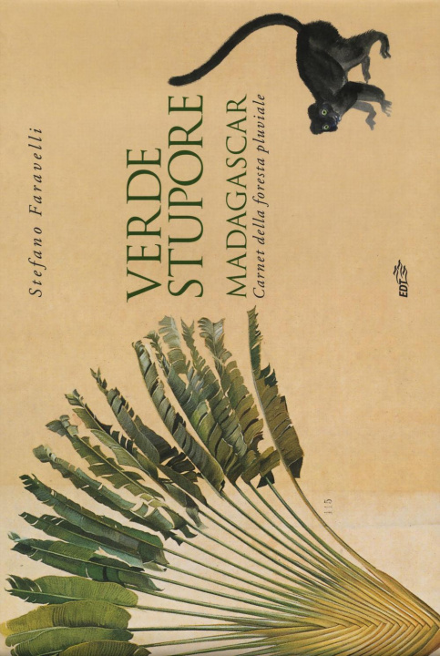 Kniha Verde stupore. Madagascar. Carnet della foresta pluviale Stefano Faravelli