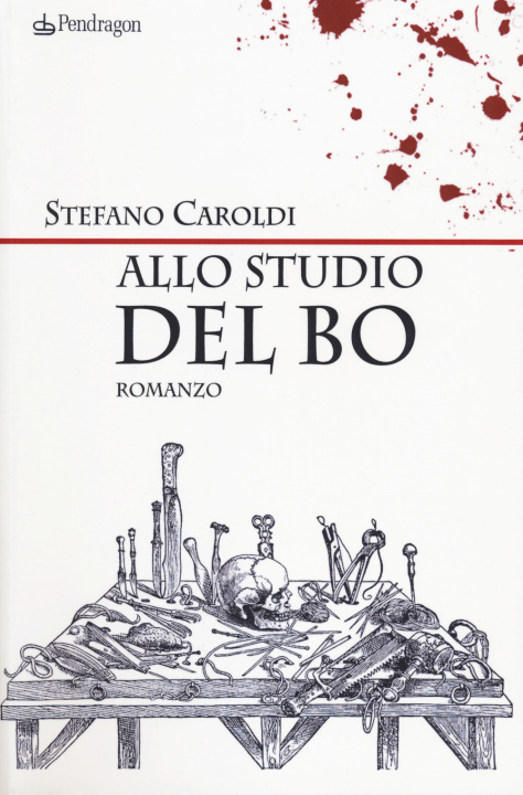 Buch Allo studio del Bo Stefano Caroldi