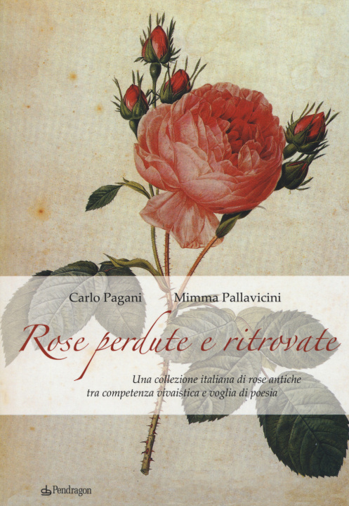 Kniha Rose perdute e ritrovate. Una collezione italiana di rose antiche tra campetenza vivaistica e voglia di poesia Carlo Pagani