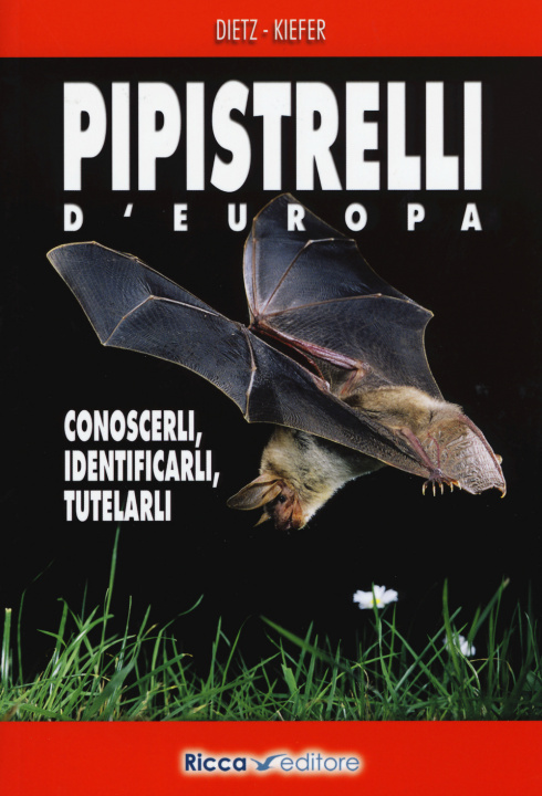 Kniha Pipistrelli d'Europa. Conoscerli, identificarli, tutelarli Christian Dietz