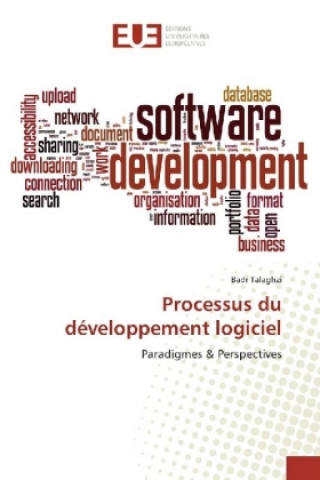 Книга Processus du développement logiciel Badr Talaghzi