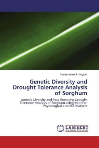 Könyv Genetic Diversity and Drought Tolerance Analysis of Sorghum Tesfamichael A. Negash