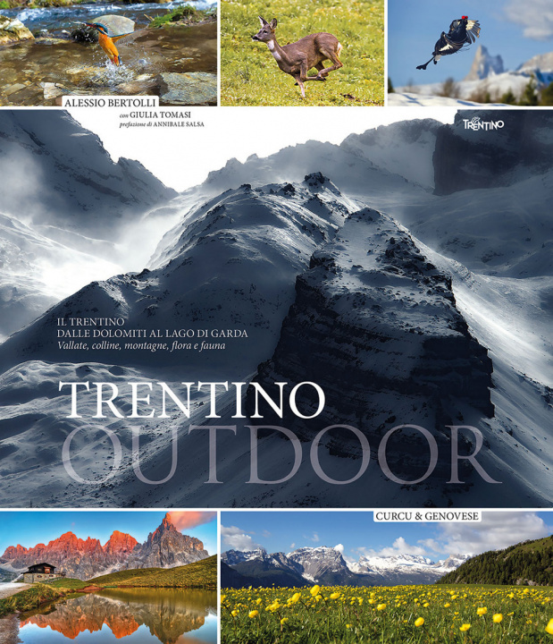 Kniha Trentino outdoor. Il Trentino dalla Dolomiti al lago di Garda. Montagne, laghi, vallate, flora e fauna Alessio Bertolli