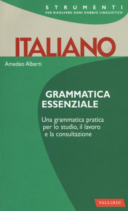 Kniha Italiano. Grammatica essenziale Amedeo Alberti
