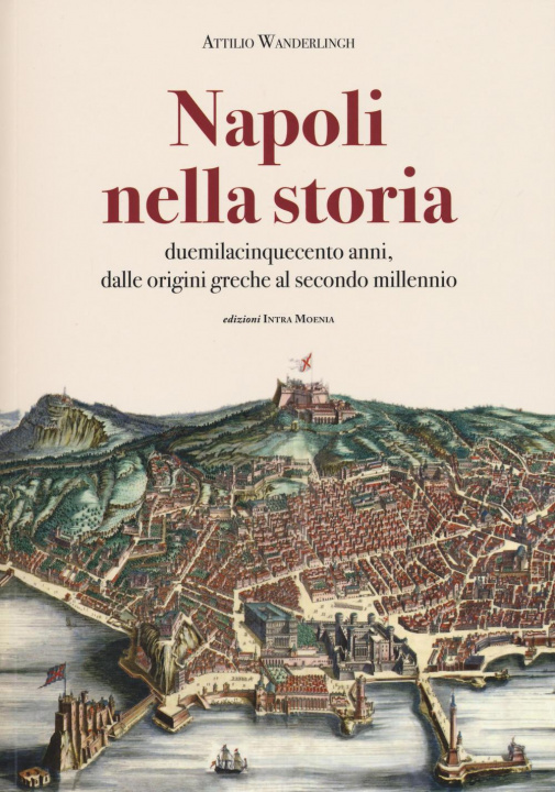 Knjiga Napoli nella storia. Duemilacinquecento anni, dalle origini greche al secondo millennio Attilio Wanderlingh