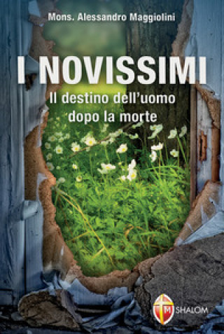 Kniha I novissimi. Il destino dell'uomo dopo la morte Alessandro Maggiolini