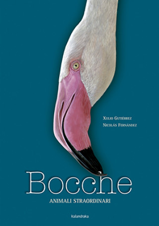 Livro Bocche XULIO GUTIERREZ