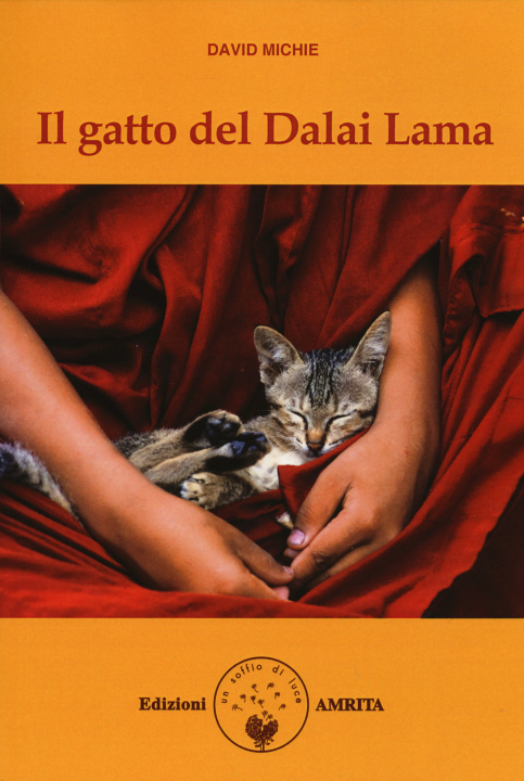 Kniha Il gatto del Dalai Lama David Michie