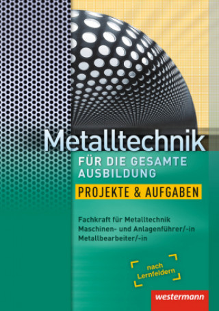 Könyv Metalltechnik für die gesamte Ausbildung Harald Nedo