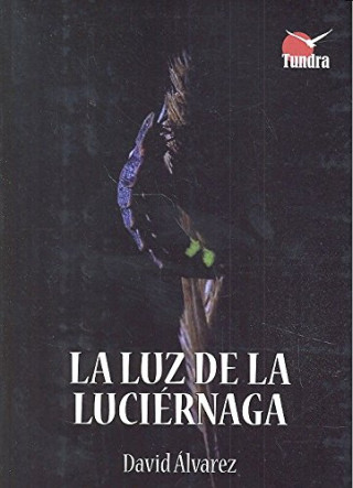 Buch LUZ DE LA LUCIERNAGA, LA DAVID ALVAREZ