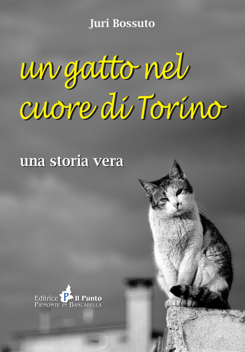 Kniha Un gatto nel cuore di Torino. Una storia vera Juri Bossuto