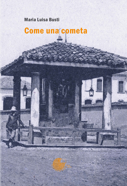 Книга Come una cometa M. Luisa Busti