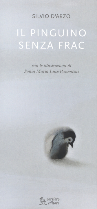 Kniha Il pinguino senza frac Silvio D'Arzo