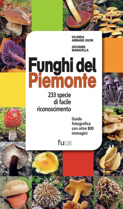 Könyv Funghi del Piemonte. 233 specie di facile riconoscimento Iolanda Armand Ugon