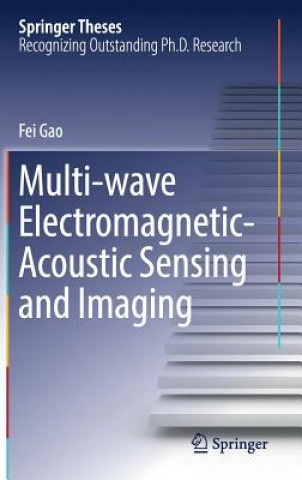 Kniha Multi-wave Electromagnetic-Acoustic Sensing and Imaging Fei Gao