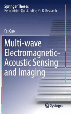 Knjiga Multi-wave Electromagnetic-Acoustic Sensing and Imaging Fei Gao