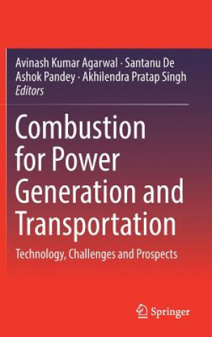 Kniha Combustion for Power Generation and Transportation Avinash Kumar Agarwal