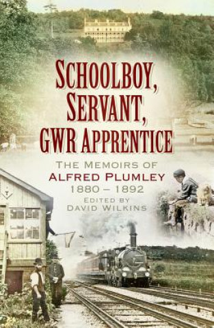Книга Schoolboy, Servant, GWR Apprentice David Wilkins
