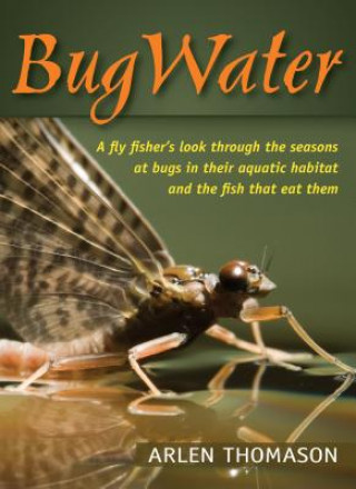 Kniha BugWater Arlen Thomason