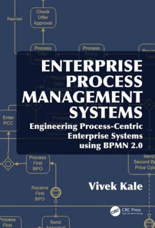 Kniha Enterprise Process Management Systems KALE