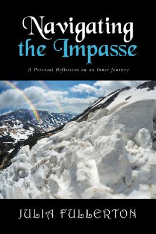 Knjiga Navigating the Impasse JULIA FULLERTON